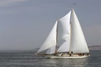 CMR_2007_451