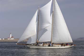 CMR_2007_452