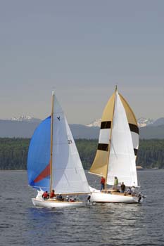 CMR_2007_498