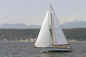 CMR_2007_521