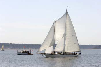 CMR_2007_530