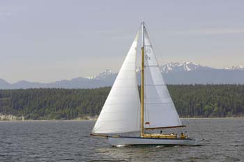 CMR_2007_542