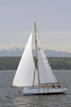 CMR_2007_547