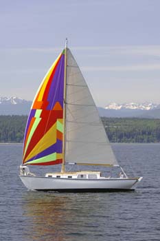 CMR_2007_553