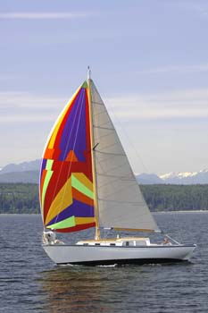 CMR_2007_557