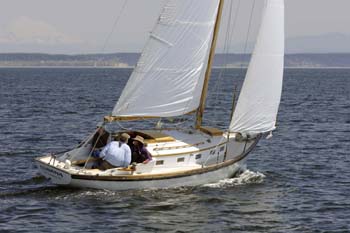 CMR_2007_567