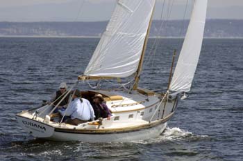 CMR_2007_568
