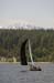 CMR_2007_046