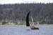 CMR_2007_049
