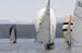 CMR_2007_208