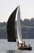 CMR_2007_232