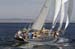 CMR_2007_307