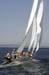 CMR_2007_308