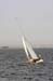 CMR_2007_423