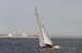 CMR_2007_445