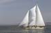 CMR_2007_451