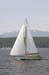 CMR_2007_544