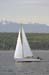 CMR_2007_548