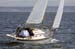 CMR_2007_568