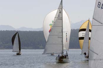 CMR_2007_208