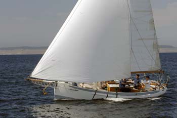 CMR_2007_293
