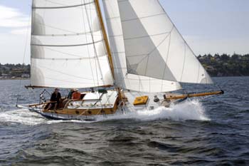 CMR_2007_341