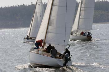 CMR_2007_382