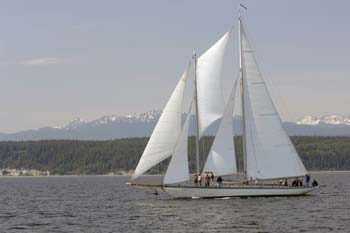CMR_2007_527