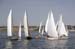CMR_2007_365
