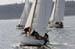 CMR_2007_382