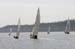 CMR_2007_385
